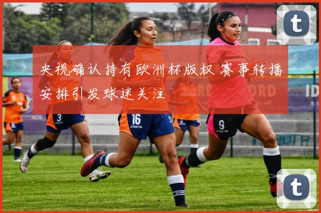 央视确认持有欧洲杯版权 赛事转播安排引发球迷关注